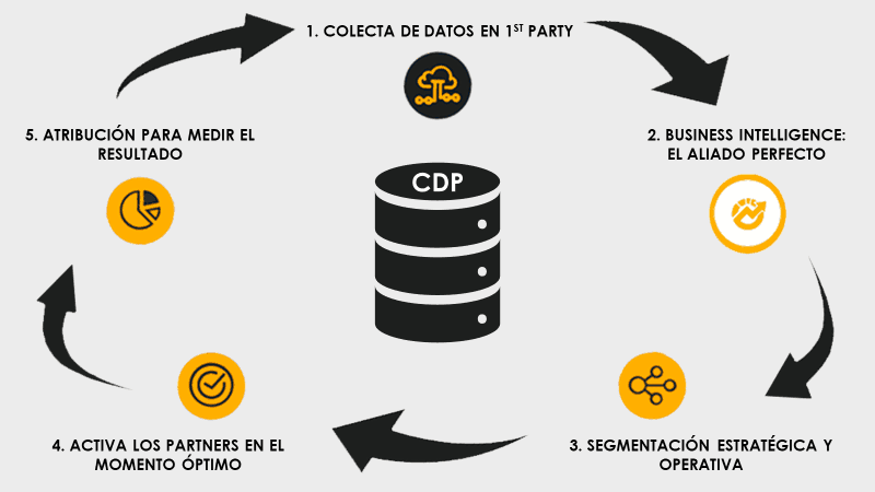 ecosistema CDP