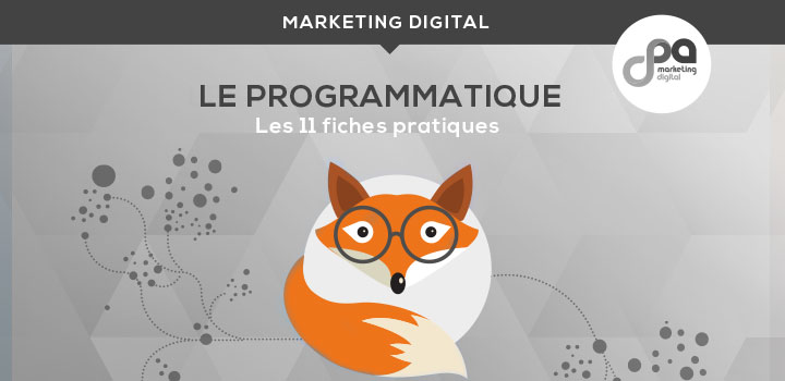 Le programmatique – Les 11 fiches pratiques